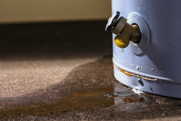 Best Water damage restoration specialists  in Concordia, MO