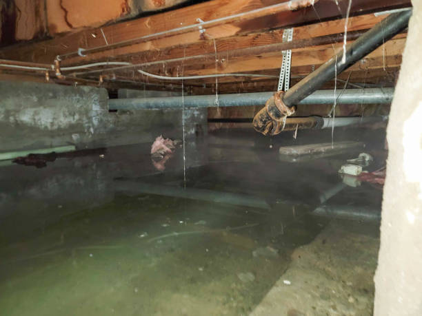 Best Water damage restoration process  in Concordia, MO