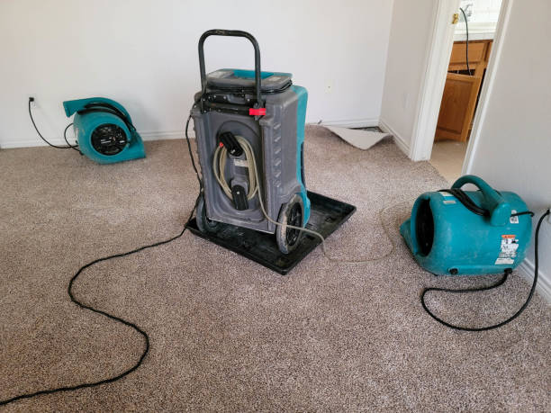Best Carpet water damage restoration  in Concordia, MO