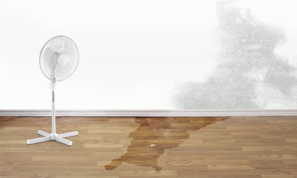 Best Water damage restoration near me  in Concordia, MO