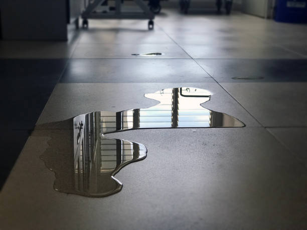 Best Professional water damage repair  in Concordia, MO