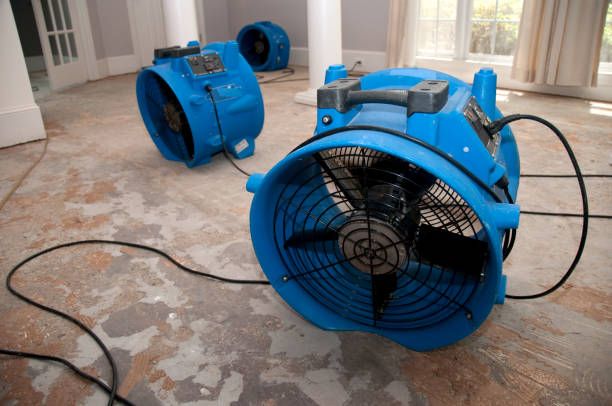 Best 24-hour water damage restoration  in Concordia, MO