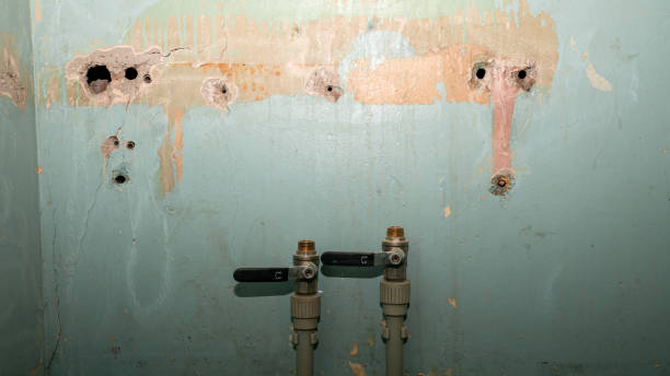  Concordia, MO Water damage restoration Pros
