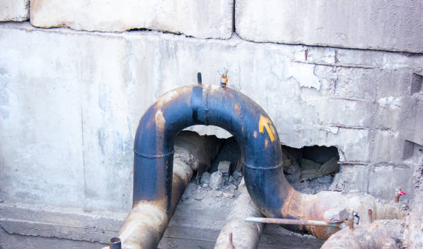 Best Local water damage restoration  in Concordia, MO