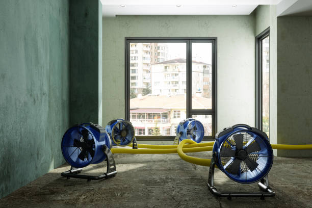 Best Ceiling water damage repair  in Concordia, MO