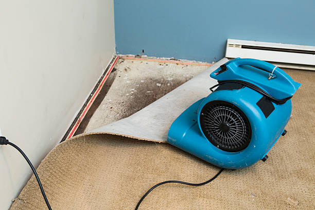Best Basement water damage restoration  in Concordia, MO